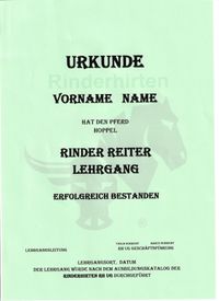 Urkunde Rinder Reiter